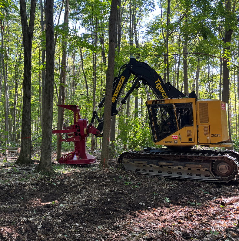 Jim Moffatt leading a sustainable logging operation and timber evaluation in Barrie, Ontario