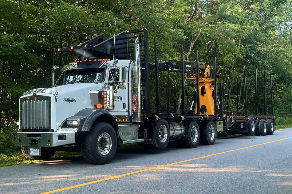 Professional forest timber contractor managing woodlot quality and logging logistics in Ontario
