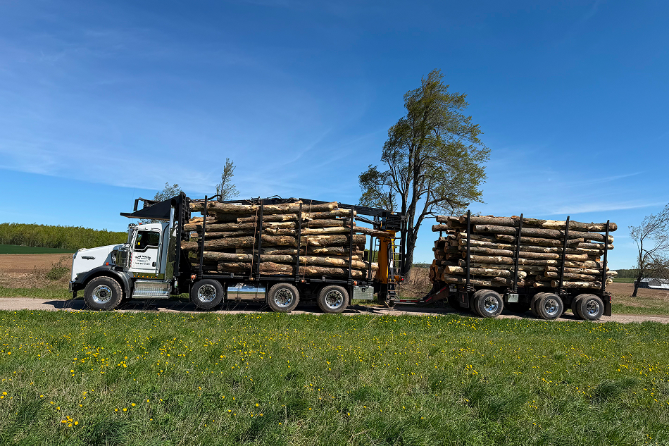 Truck & Trailer Loads of Hardwood Logs in Barrie, Orillia, Midland, Gravenhurst, Bracebridge, Huntsville, Collingwood, Wasaga Beach, Innisfil