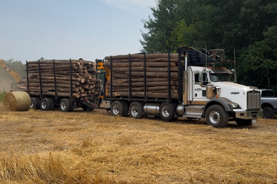 Sustainable timber harvesting and heavy forestry log extraction on crown land in Ontario